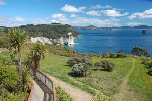 Cathedral Cove