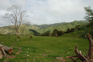 Wanganui River