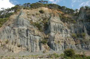 Pinnacles